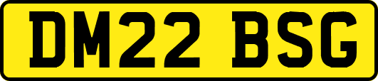 DM22BSG