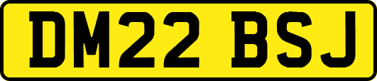 DM22BSJ