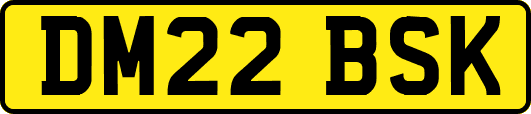 DM22BSK