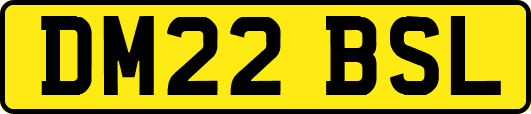 DM22BSL