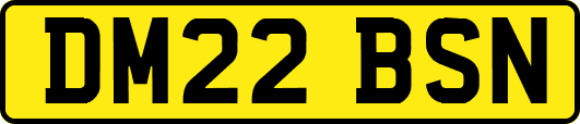 DM22BSN
