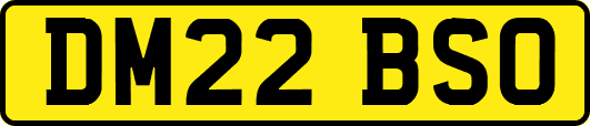 DM22BSO