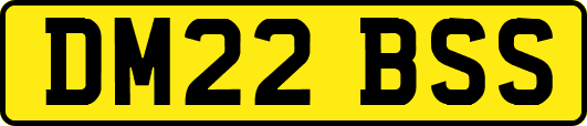 DM22BSS