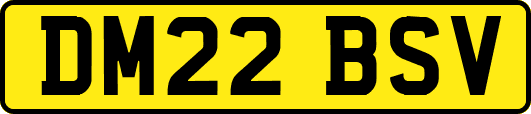 DM22BSV