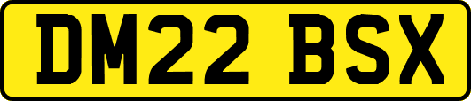 DM22BSX