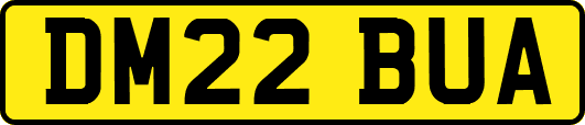 DM22BUA