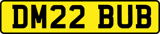 DM22BUB