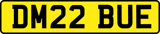 DM22BUE