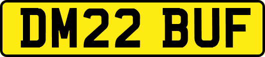 DM22BUF