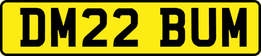 DM22BUM