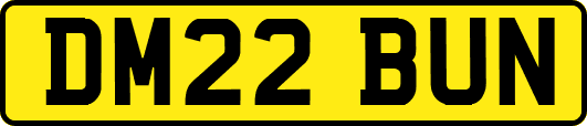 DM22BUN
