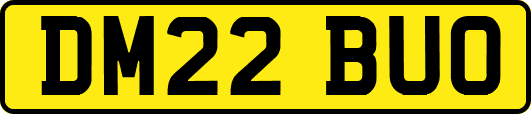 DM22BUO