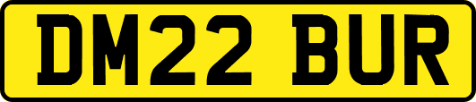 DM22BUR