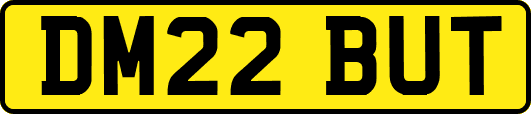 DM22BUT