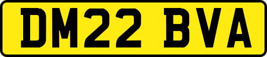 DM22BVA