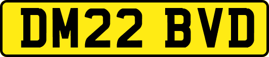 DM22BVD