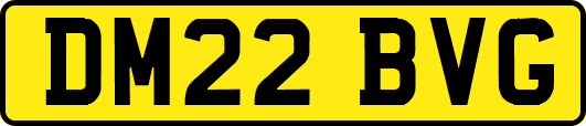 DM22BVG