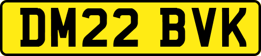 DM22BVK