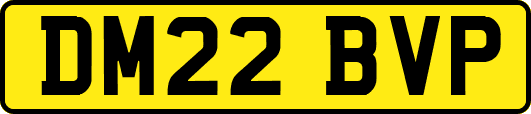 DM22BVP