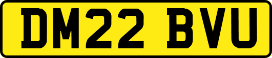 DM22BVU