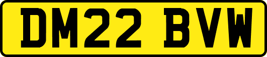 DM22BVW