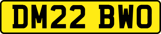 DM22BWO