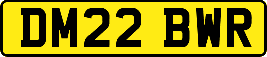 DM22BWR