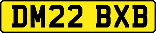DM22BXB