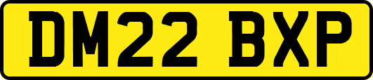 DM22BXP