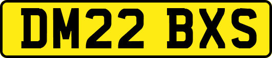 DM22BXS