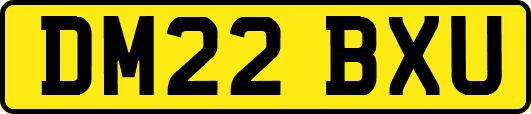 DM22BXU