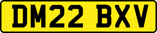 DM22BXV