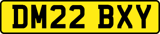 DM22BXY