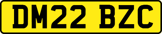 DM22BZC