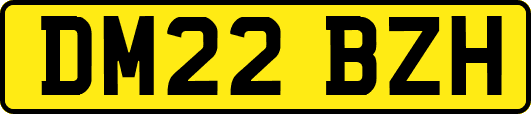 DM22BZH