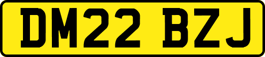 DM22BZJ