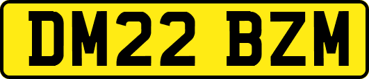 DM22BZM