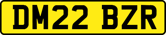 DM22BZR