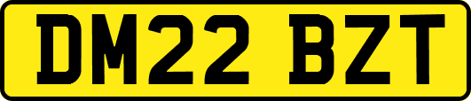 DM22BZT
