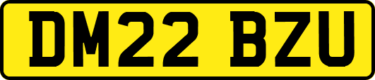 DM22BZU