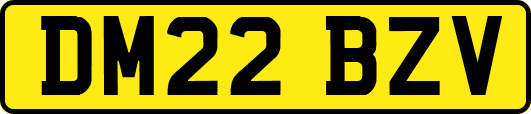 DM22BZV