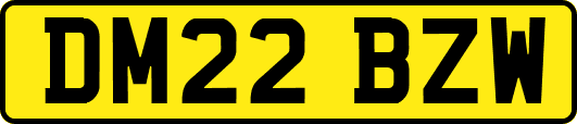 DM22BZW