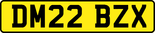 DM22BZX