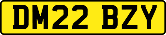 DM22BZY
