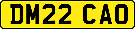 DM22CAO