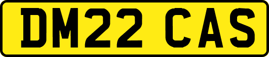 DM22CAS