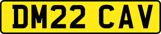 DM22CAV