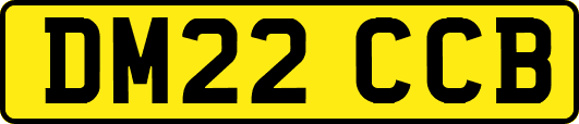 DM22CCB
