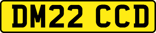 DM22CCD