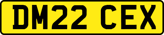 DM22CEX